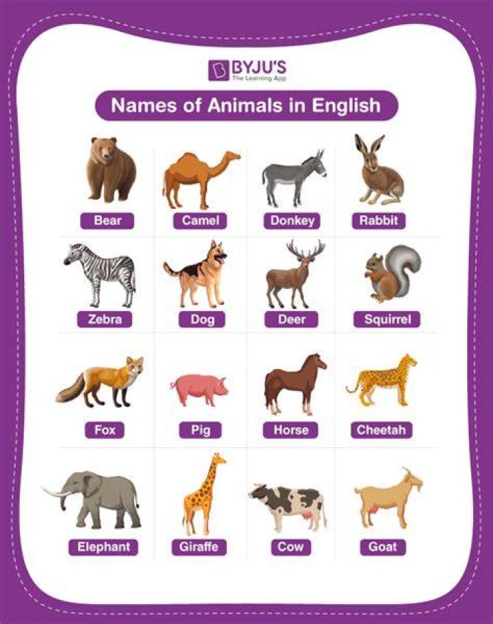 Are names of animals common nouns?