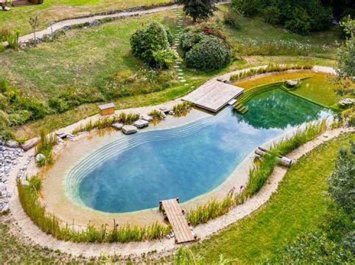 Are natural swimming pools expensive?