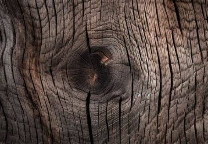 At what temperature does wood expand?