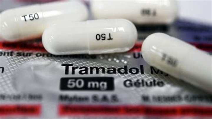 Can a person take Dog Tramadol?