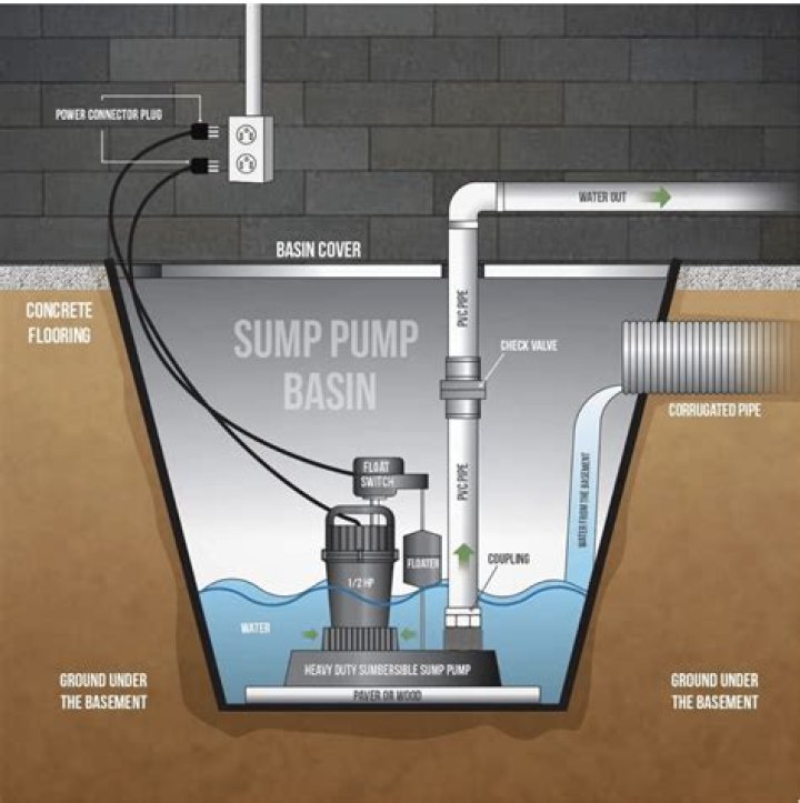 Can flies come in through sump pump?