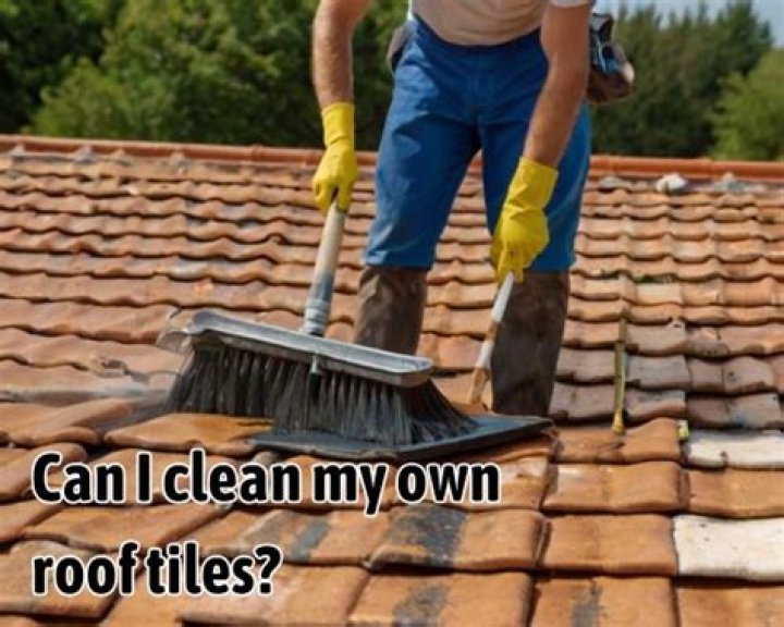 Can I clean my own roof?