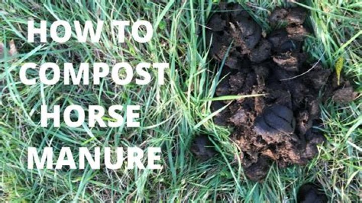 Can I compost horse manure?