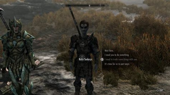 Can I have 2 followers in Skyrim?