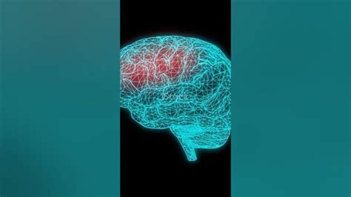 Can we use 100 percent of our brain?
