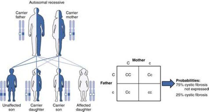 Can you be a carrier of a dominant trait?