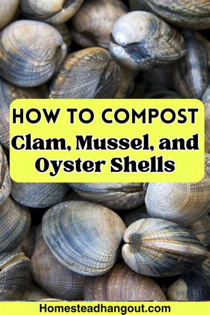 Can you compost clam shells?