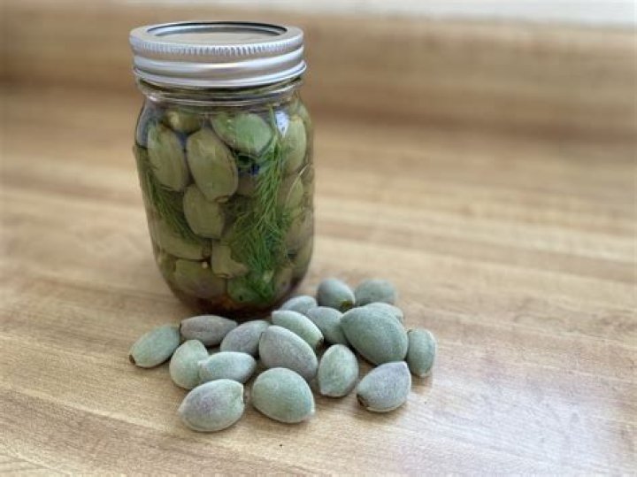 Can you eat raw green almonds?