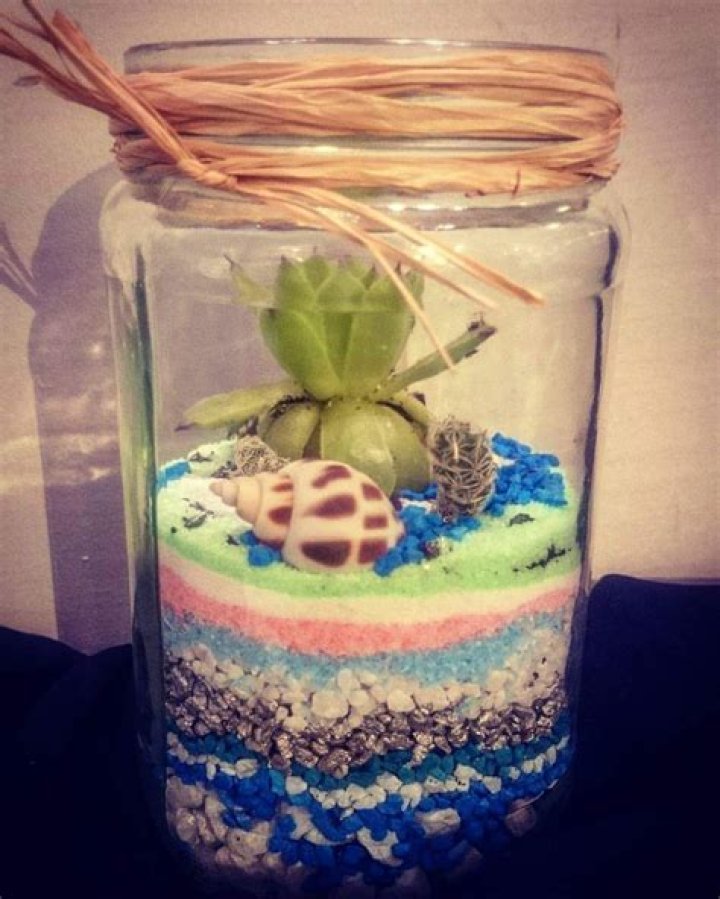 Can you use decorative sand for succulents?
