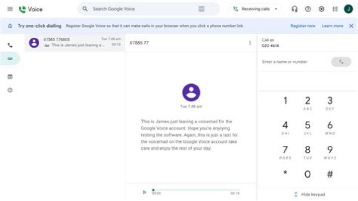 Does Google Voice do video calls?