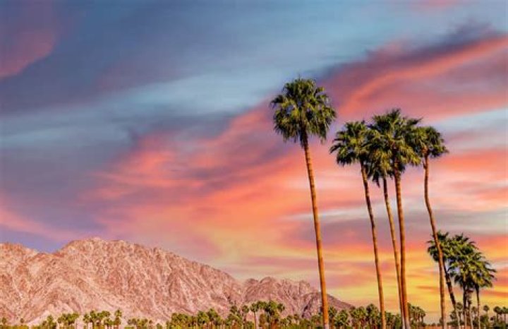 Does Southwest fly to Palm Springs CA?
