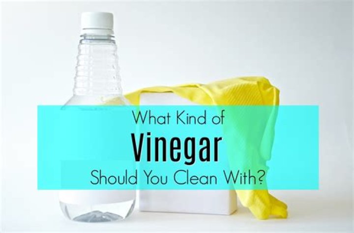 Does vinegar kill germs in the air?