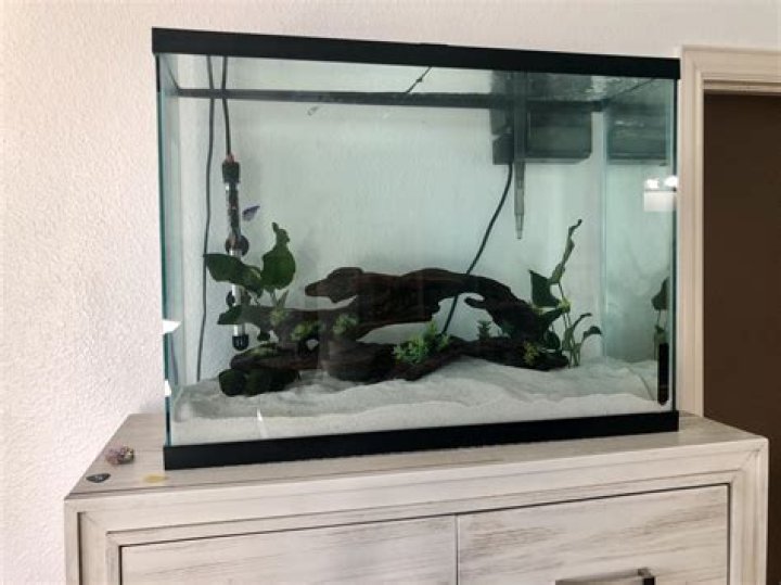 How big is a 37 gallon fish tank?
