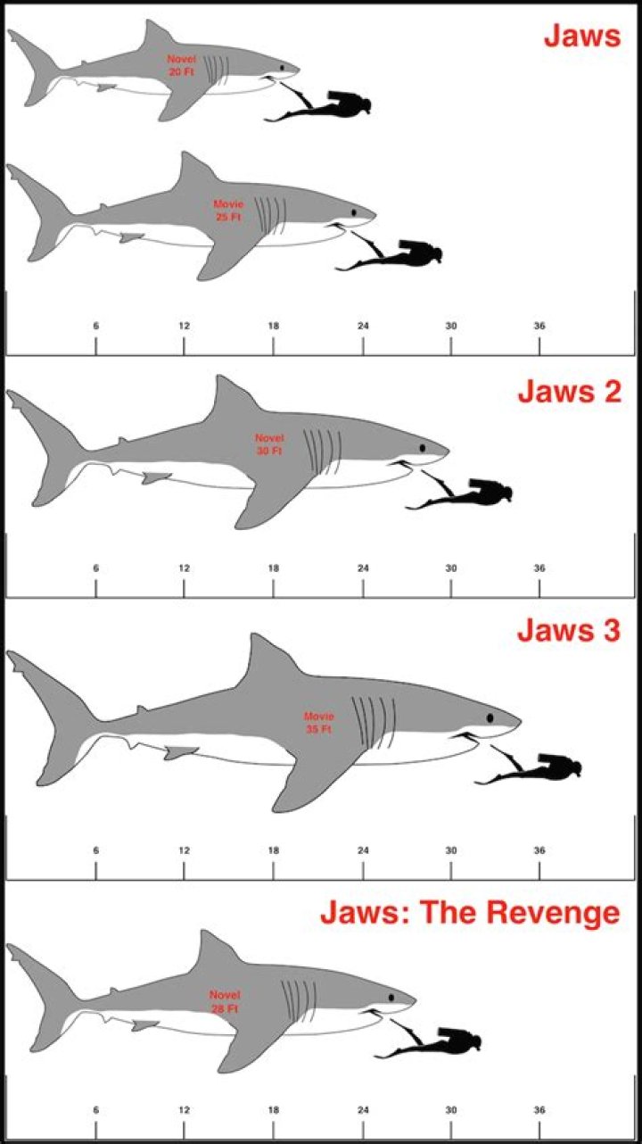 How big was the shark in Jaws 2?
