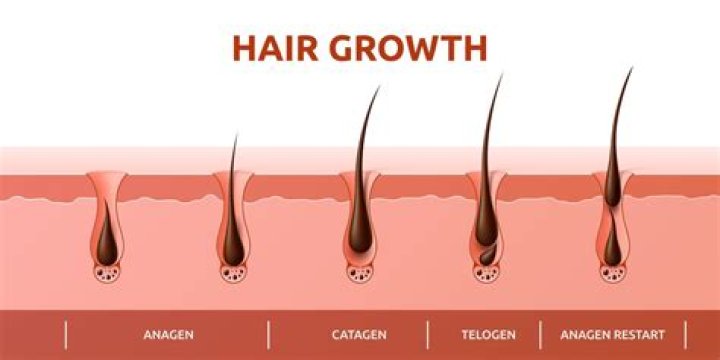 How can I grow new hair roots?