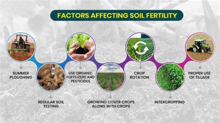 How can we improve soil?
