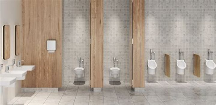 How do commercial toilets work?