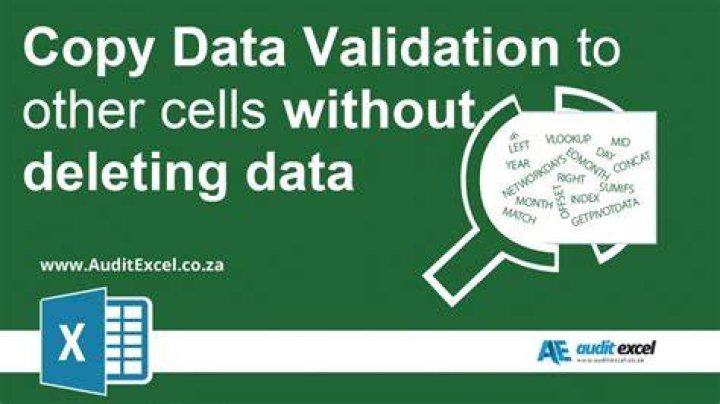 How do I copy data validation to other cells?