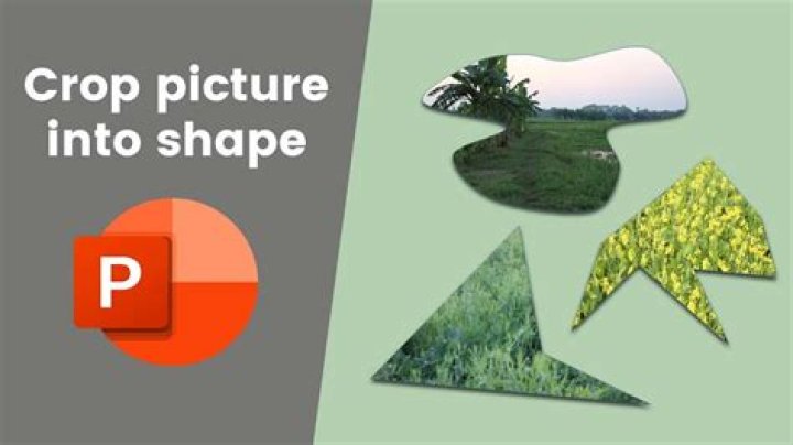 How do I crop a picture using Windows 7?