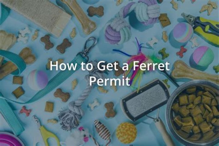 How do I get a ferret permit in California?