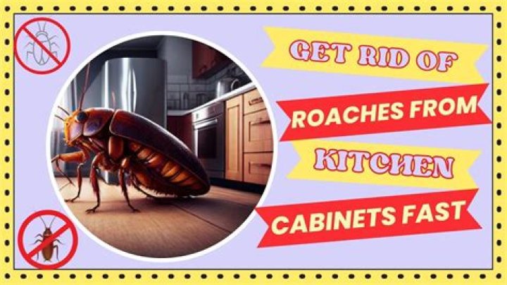 How do I get rid of roaches in my cabinets?