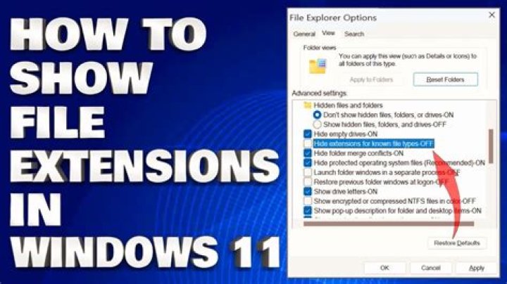 How do I see all file extensions in Windows?