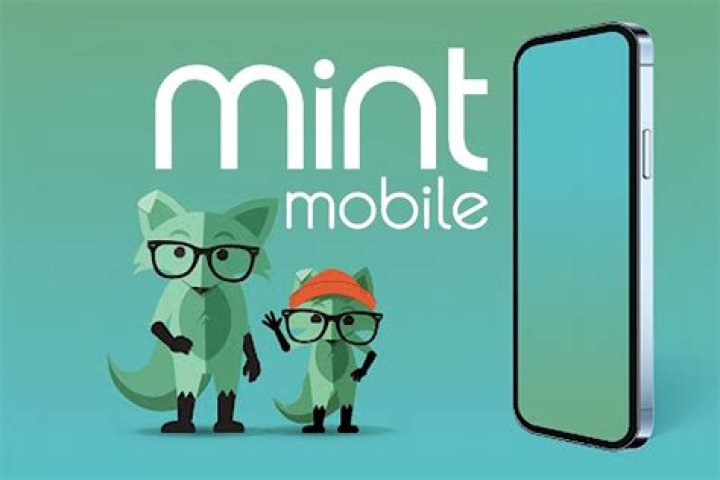 How do I set up mobile data on Mint?