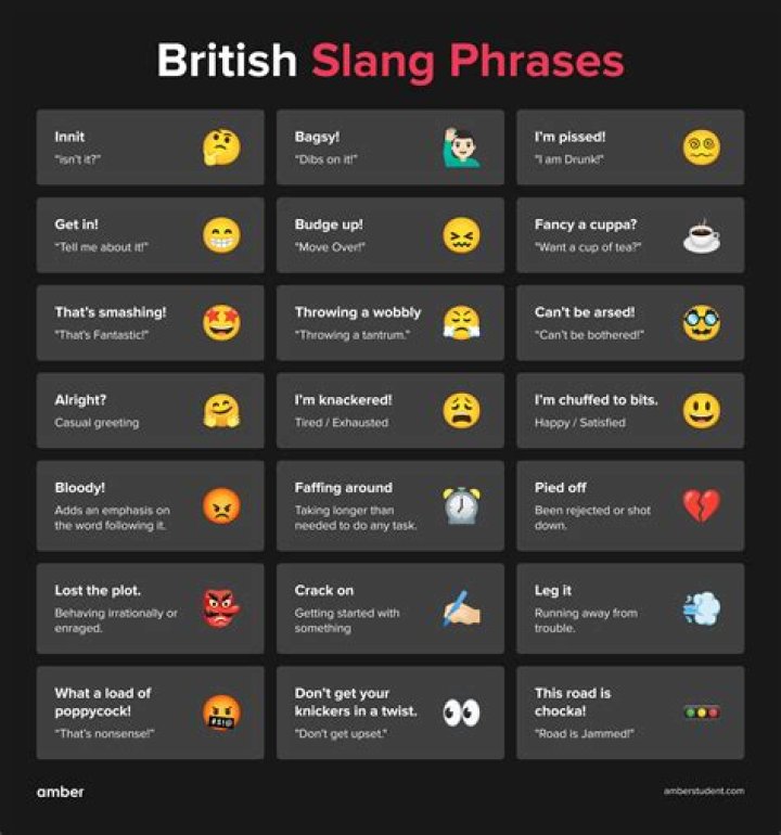 How do the British say intestine?