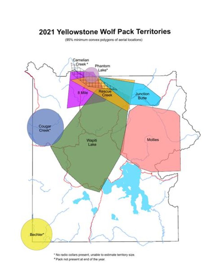 How do wolves affect plant communities in the Yellowstone ecosystem?