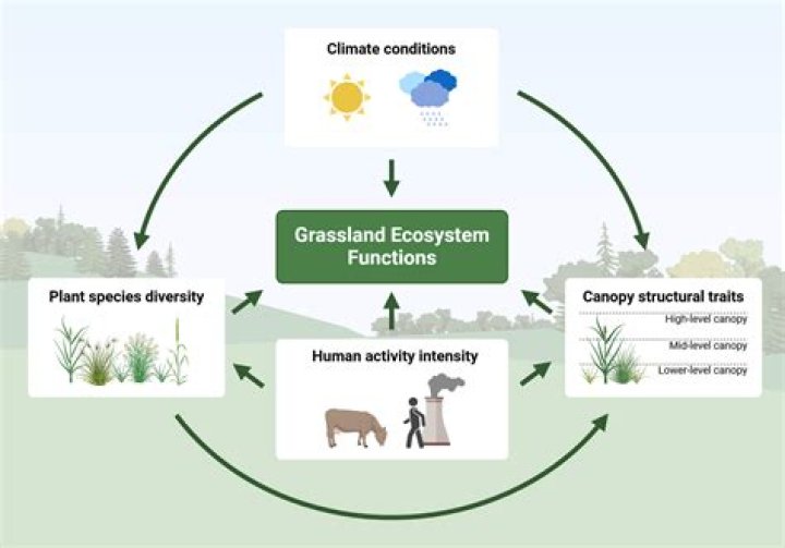 How do you describe an ecosystem?