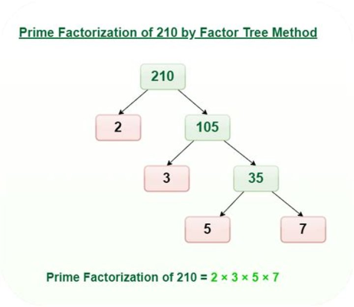 How do you find the prime factorization of 30?