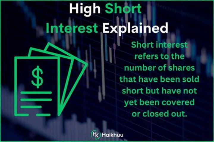 How do you find the short interest in a stock?
