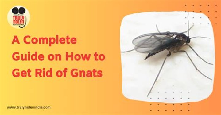 How do you get rid of gnats on bananas?
