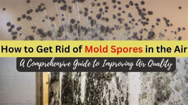 How do you know if mold spores are in the air?