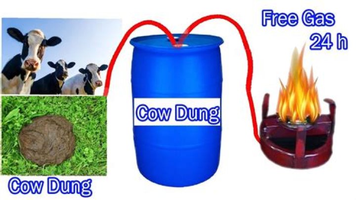 How do you make cow dung fuel?