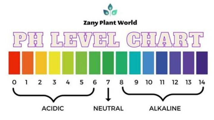 How do you regulate pH levels?
