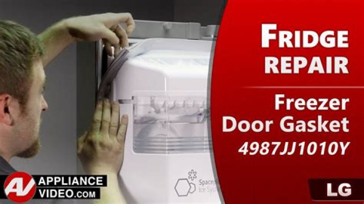 How do you replace the gasket on an LG freezer door?