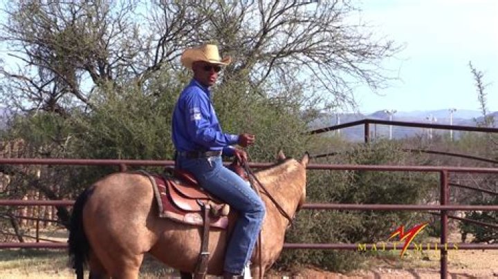 How do you rollback a horse?