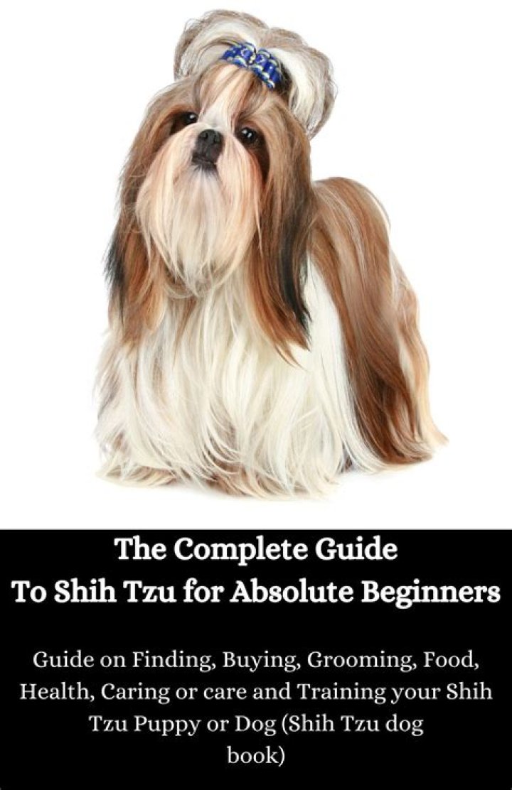 How do you take care of a Shih Tzu?