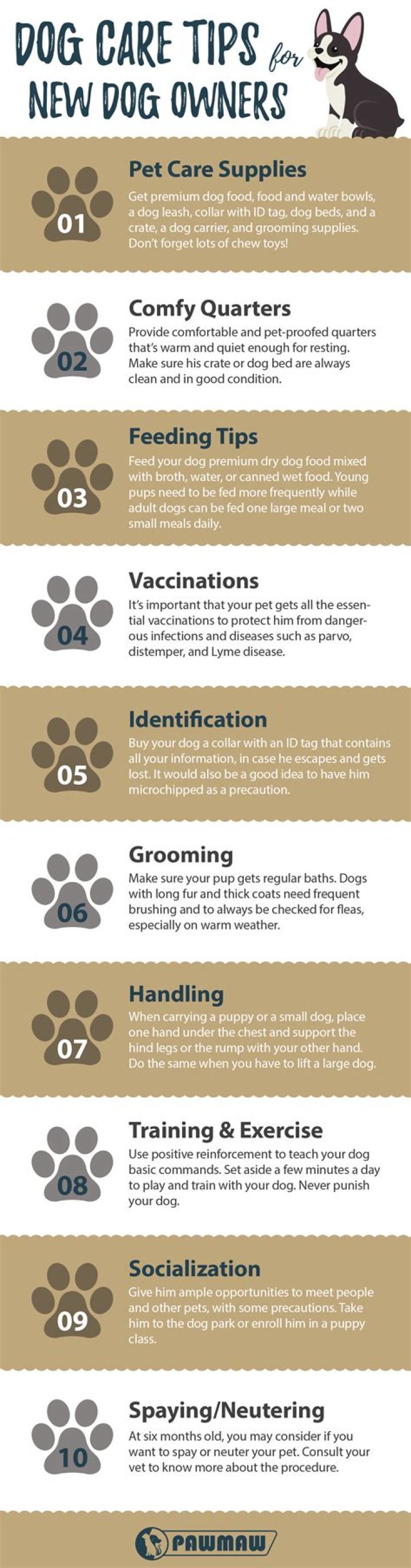 How do you take care of dog tips?