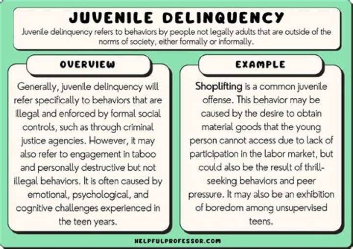 How do you use delinquent in a sentence?