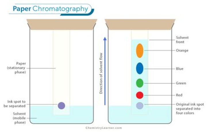 How is thin layer chromatography different from paper chromatography?
