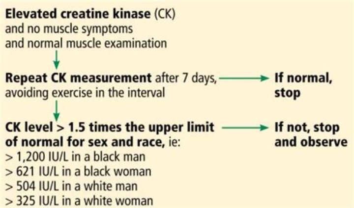 How long does creatine kinase stay elevated?