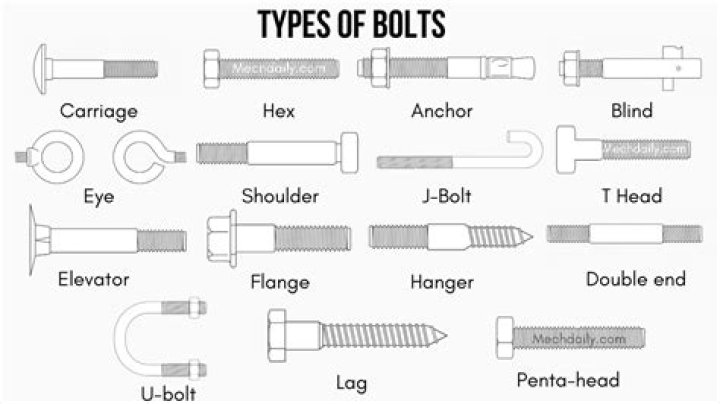 How many bolts are in a quiver?
