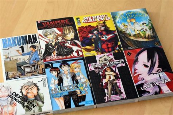 How many chapters are in a manga?