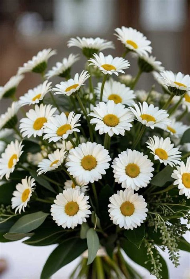 How many daisies make a bouquet?