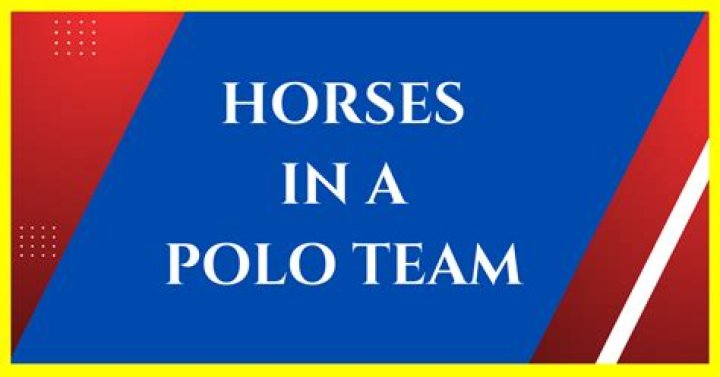 How many horses are in a polo team?