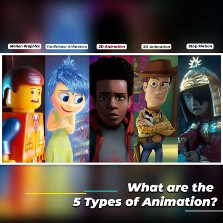 How many types of animation courses are there?