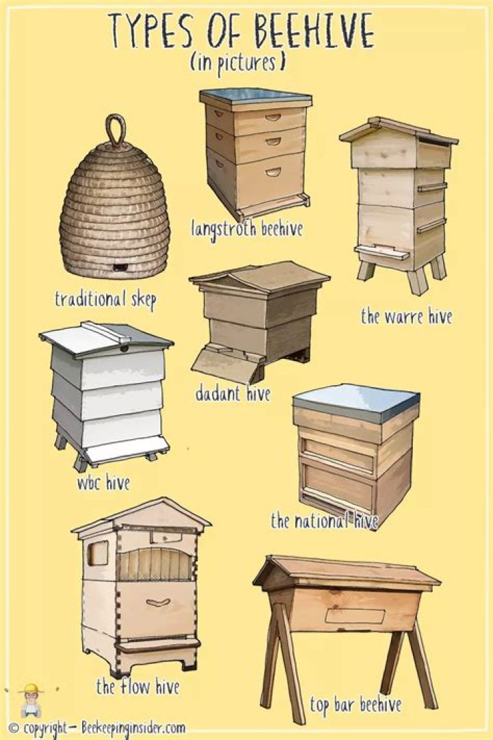 How much is a beehive worth?