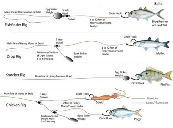 How strong should my fishing line be?